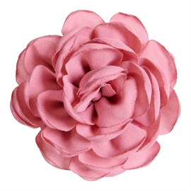 Pico Rose Claw - Rose hos parfumerihamoghende.dk 